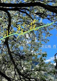 小梨花手工教程